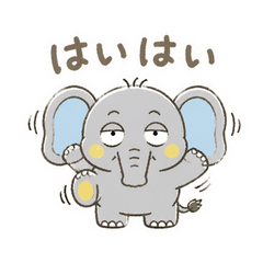 はいはい聞き流すぞうさん