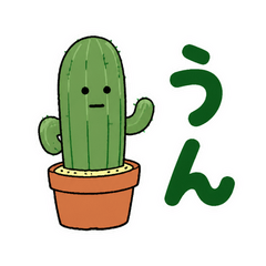 放っといてもいいサボテン