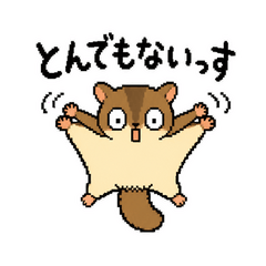 飛びながら恐縮するモモンガ