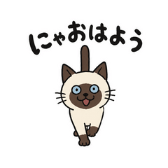 我が家のシャム