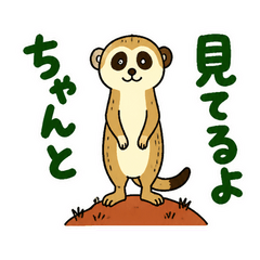 ミーアキャットの見守り警備隊