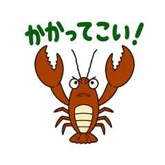 ザリガニの強がり戦闘態勢