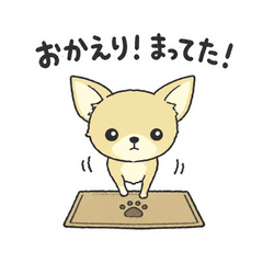 うるうるチワワのふるえ日記