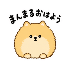 まんまるポメラニアン日記