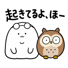 ぬしとフクロウのよふかし番