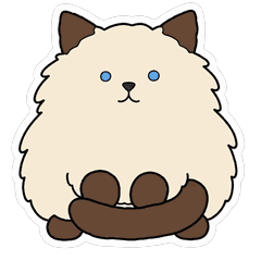 動く我が家のラグドール