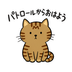うちのキジトラは野生派