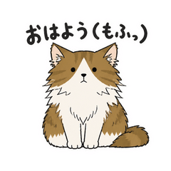 うちのノルウェージャンは大きい