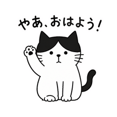うちのハチワレは人なつこい