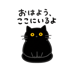 うちの黒猫はどこにいる