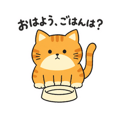 うちの茶トラは食いしんぼう