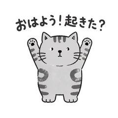 うちのアメショはあそびたい
