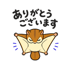 飛びながらお礼するモモンガ