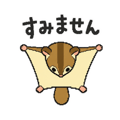 飛びながらあやまるモモンガ