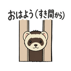 うちのフェレットは脱走名人