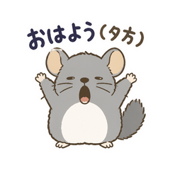 うちのチンチラは砂浴び中