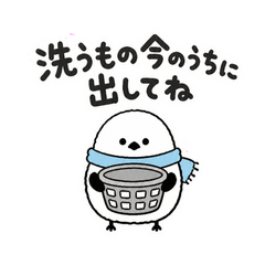 シマエナガのおせんたく連絡