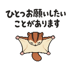 飛びながらお願いするモモンガ