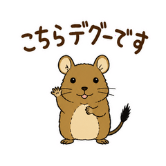 うちのデグーは呼んでいる