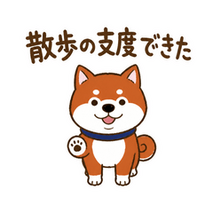 うちの柴犬は帰りたくない